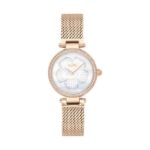 Picture of Coach Park Watch