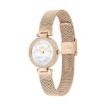 Picture of Coach Park Watch