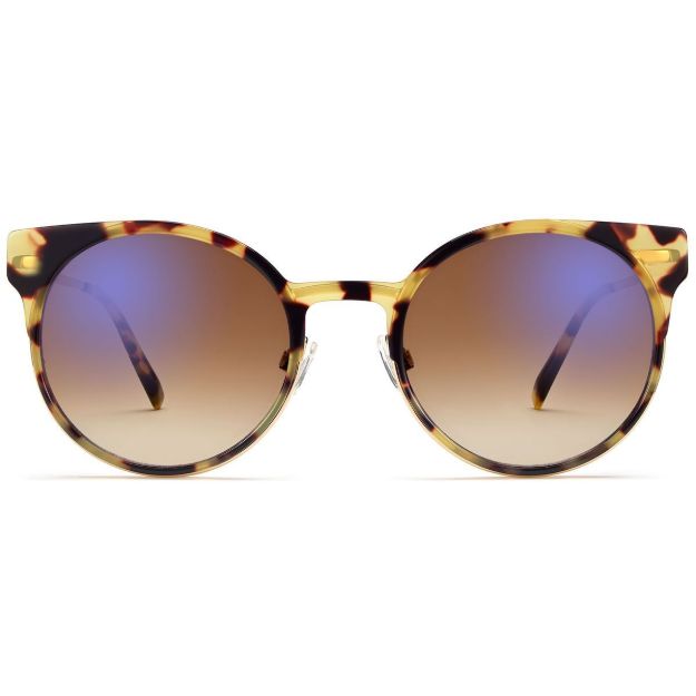 Picture of Warby Parker Sunglasses